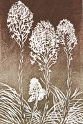 Bear Grass - by artist Millie Whipplesmith Plank – Turner Fine Art
