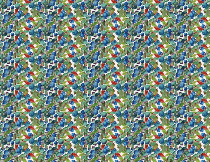 Blueberries Wallpaper Wallpaper Absoluta Prime Original