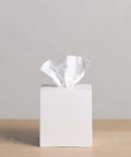 A white tissue peeks out from a plain, square box with the Coast Tissue Cover, set on a light wooden surface against a neutral gray background, adding an elegant touch to your home.