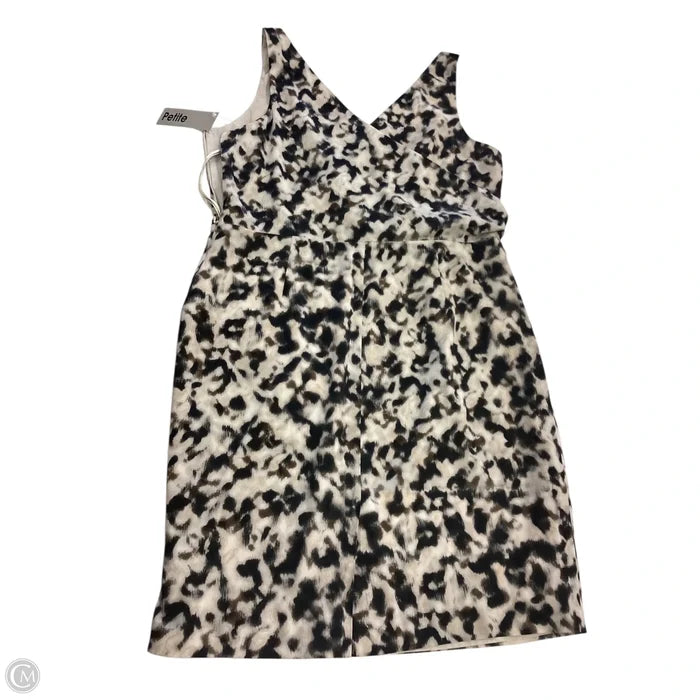 Dress Casual Short By Ann Taylor In Multi-colored, Size: Petite   Xl