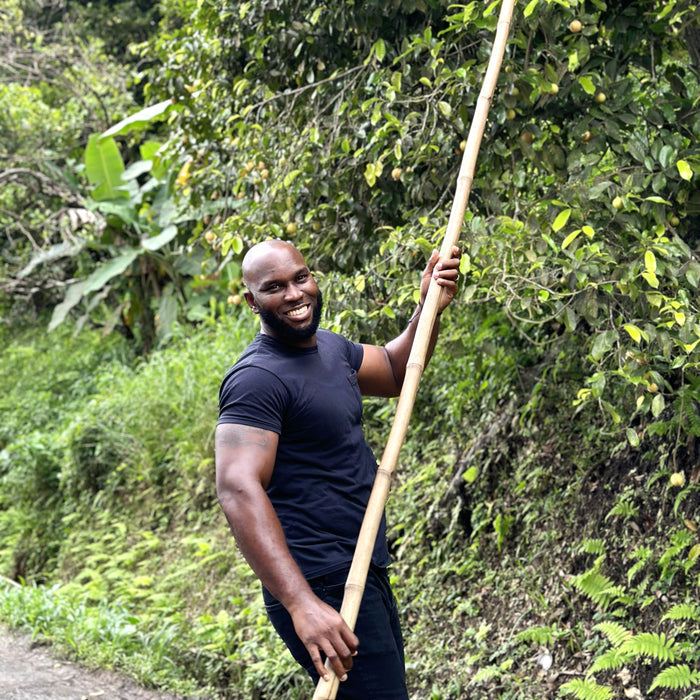 Ground Grenada Gold Nutmeg