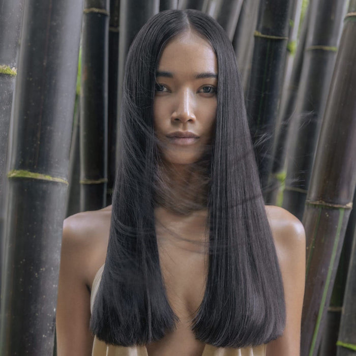 Awapuhi Wild Ginger model