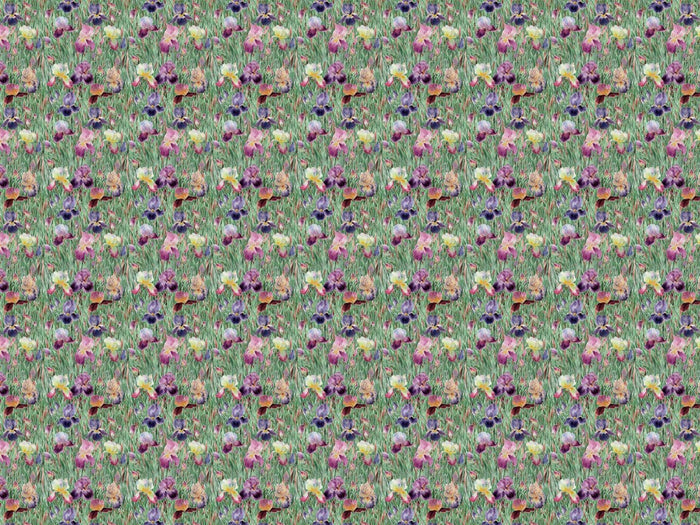 Iris Garden Wallpaper Wallpaper Absoluta