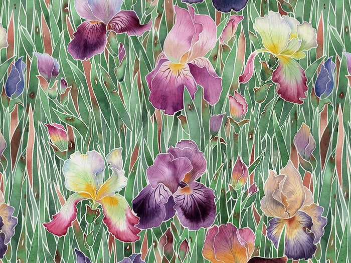 Iris Garden Wallpaper Wallpaper Absoluta