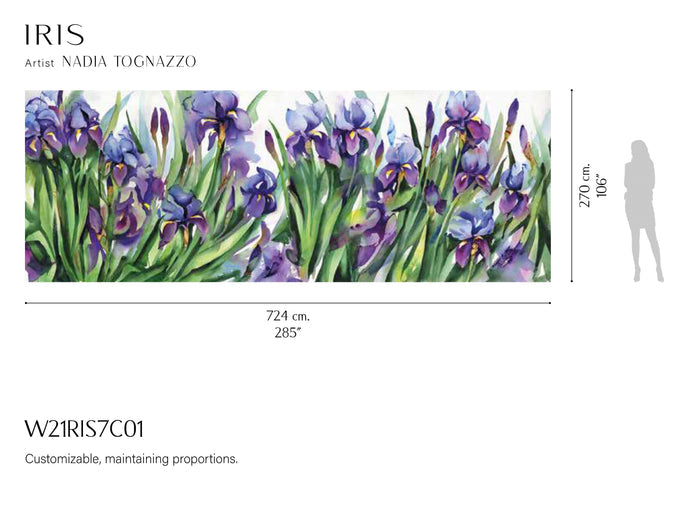 Iris Wallpaper Wallpaper Absoluta