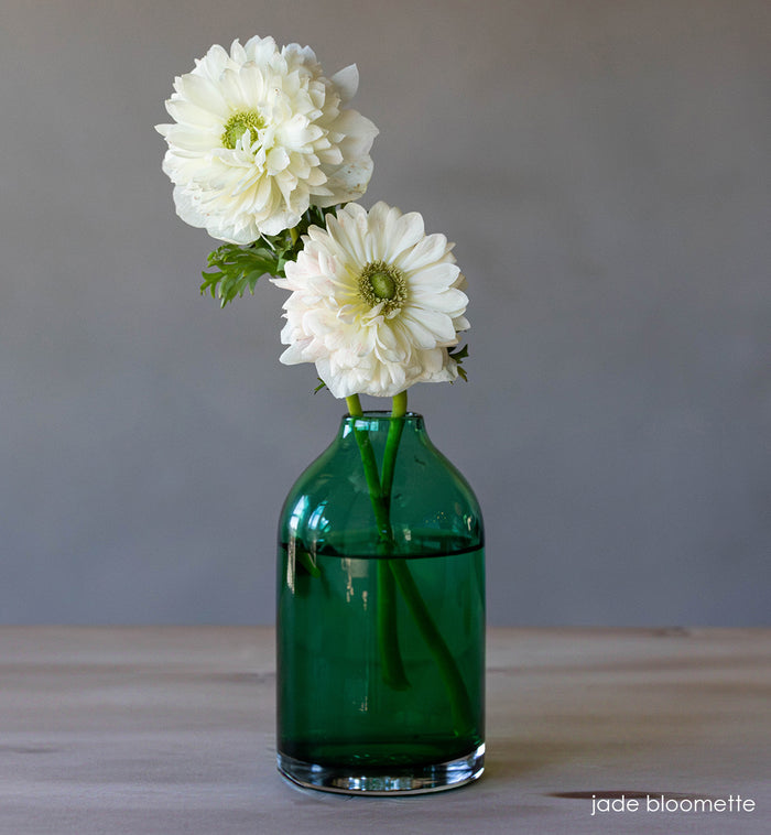 transparent jade hand-blown glass flower bud vase with white flowers on wood table and gray background