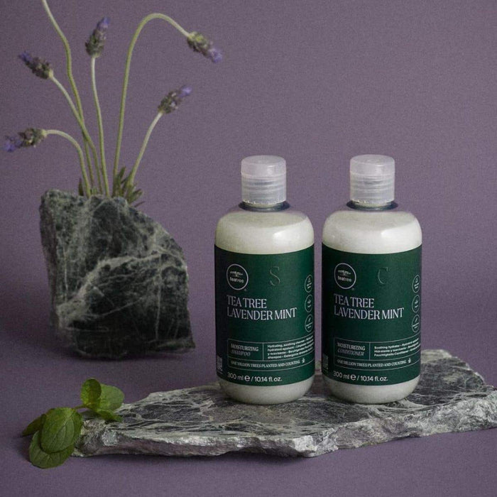 Tea Tree Lavender Mint Shampoo & Conditioner in a artstic setting