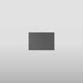 Linear Double Bottom Binario Mechanic - 61073 Bathroom Accessories GESSI Matte Black
