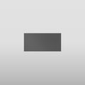 Linear Double Bottom Binario Mechanic - 61075 Bathroom Accessories GESSI Matte Black