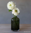 transparent olive hand-blown glass flower bud vase with white flowers on wood table and gray background