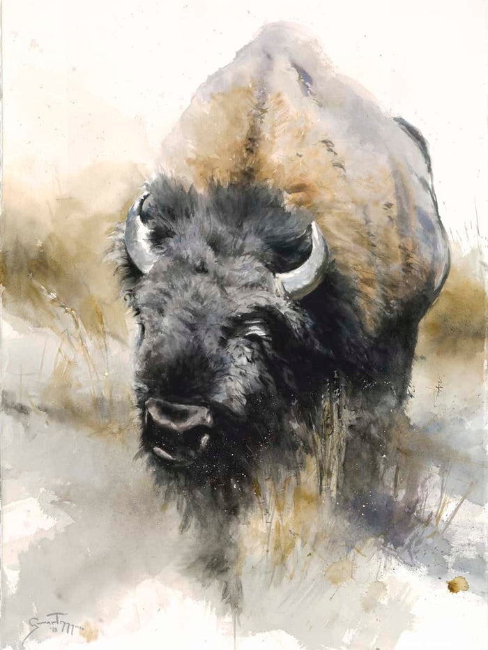 Playful - by artist Gunnar Tryggmo – Turner Fine Art