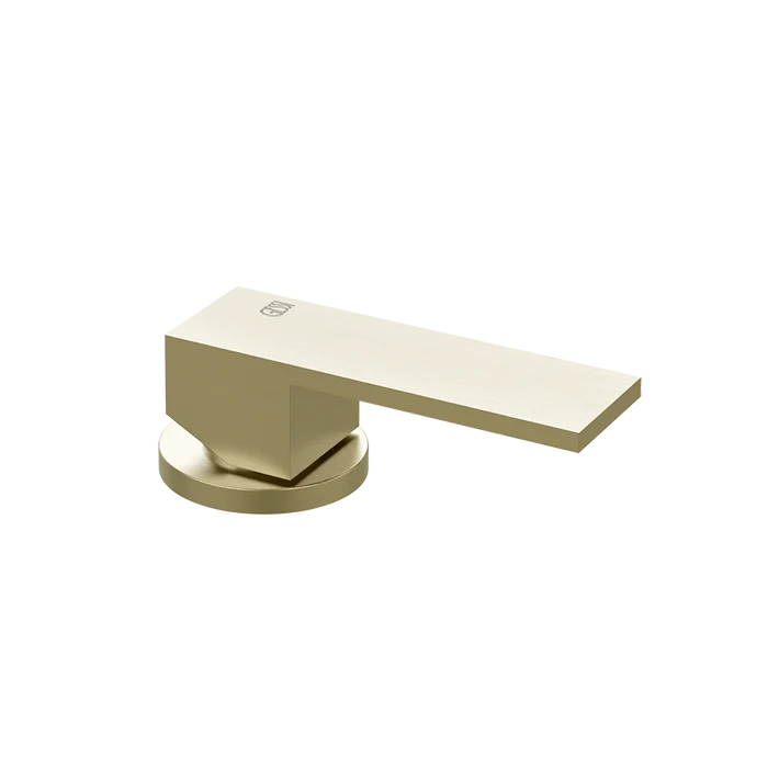 Brass Brushed PVD
