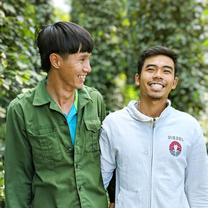 Robusta Black Peppercorns - Burlap & Barrel