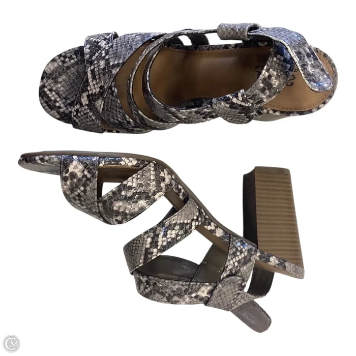 Shoes Heels Block By Ana In Snakeskin Print, Size: 8