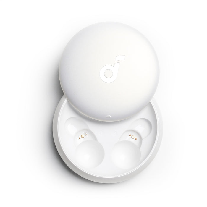 Sleep A10 Charging Case - White