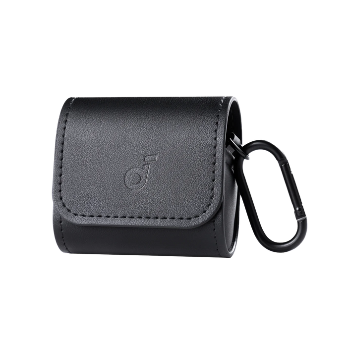 soundcore Earbuds Travel Case