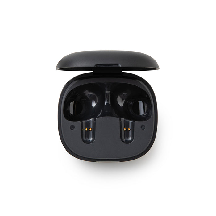 soundcore P20i Charging Case- Black