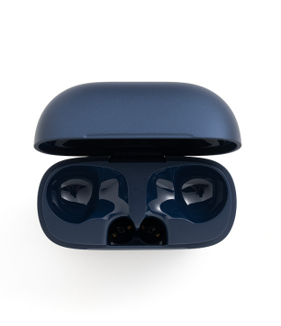Soundcore P42i charging case