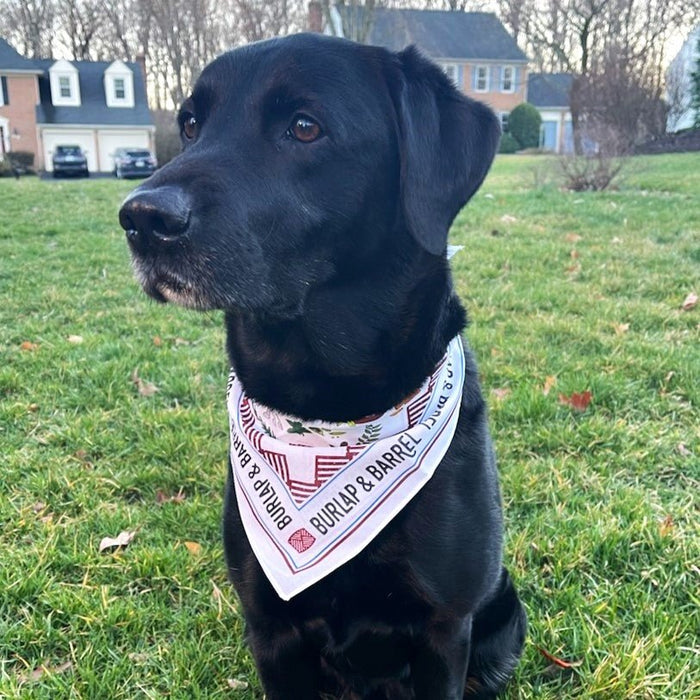 Spice Bandana