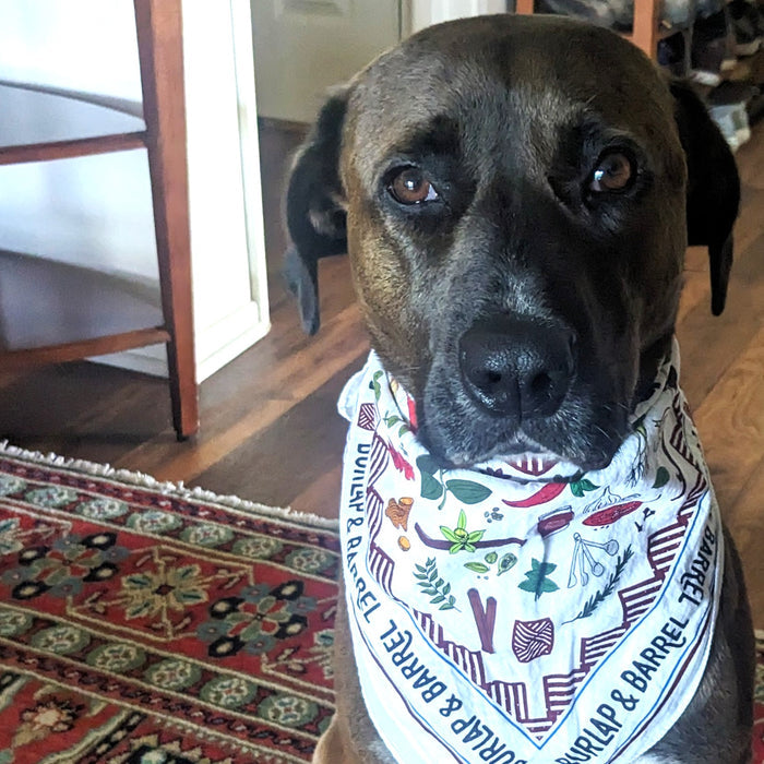 Spice Bandana