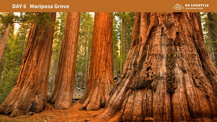 The Ultimate RV Guide to Yosemite National Park