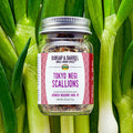 Tokyo Negi Scallions