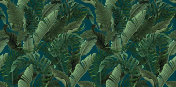 Tropical Forest Wallpaper Wallpaper Absoluta