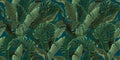 Tropical Forest Wallpaper Wallpaper Absoluta Prime Original