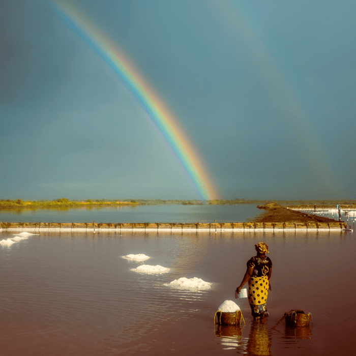 Partner farmer standing in water with a basket of salt next to her and looking on at a rainbow that is in the distance.