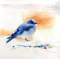 Wings of Sky - by artist Kathryn Mapes Turner – Turner Fine Art